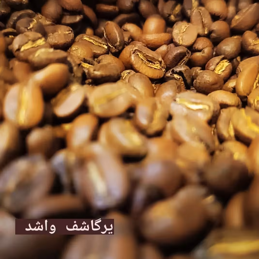 قهوه یرگاشف واشد عربیکا 