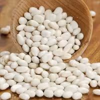 لوبیا سفید دست چین 10 کیلویی حبوبات گیاهینو ارسال رایگان اصفهان 