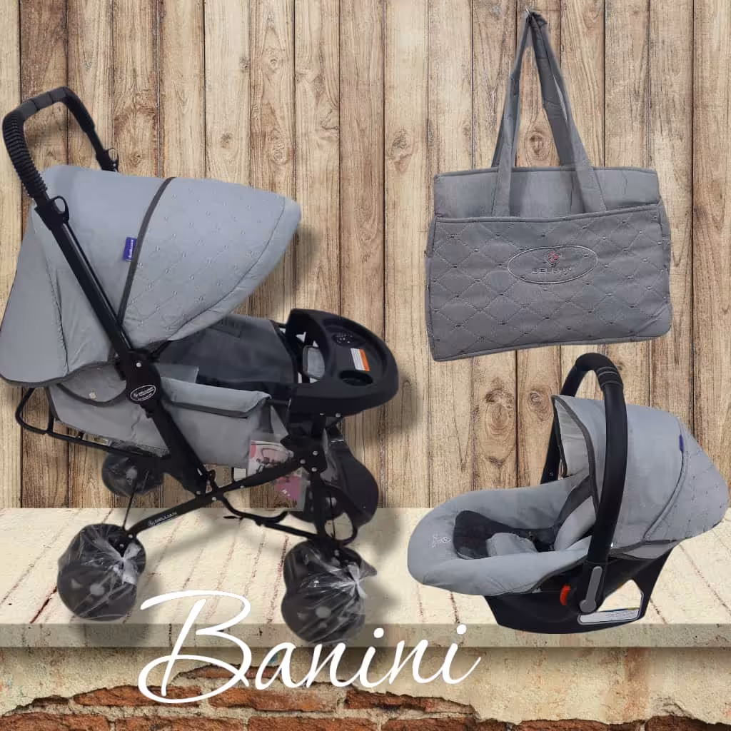 سرویس کالسکه بنیتا و کریر al پارچه دلیجان