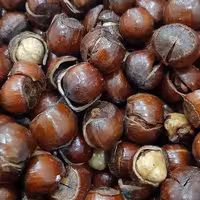 فندق بو داده ، یک کیلو