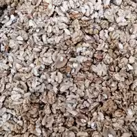 مغز گردوی متوسط، نیم کیلویی