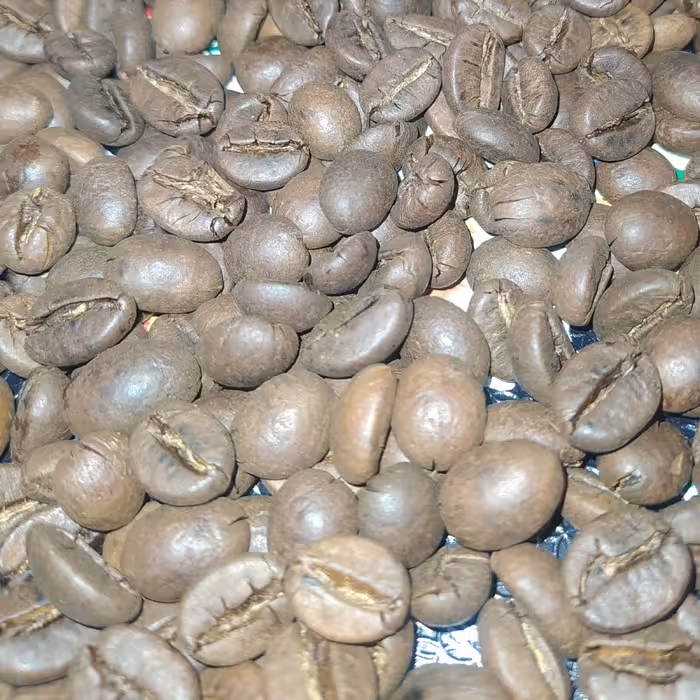 قهوه اندونزی جاوه روبوستا رست شکلاتی ( بسته 500 گرمی ) مستقیم از کارگاه رست قهوه خوزستان