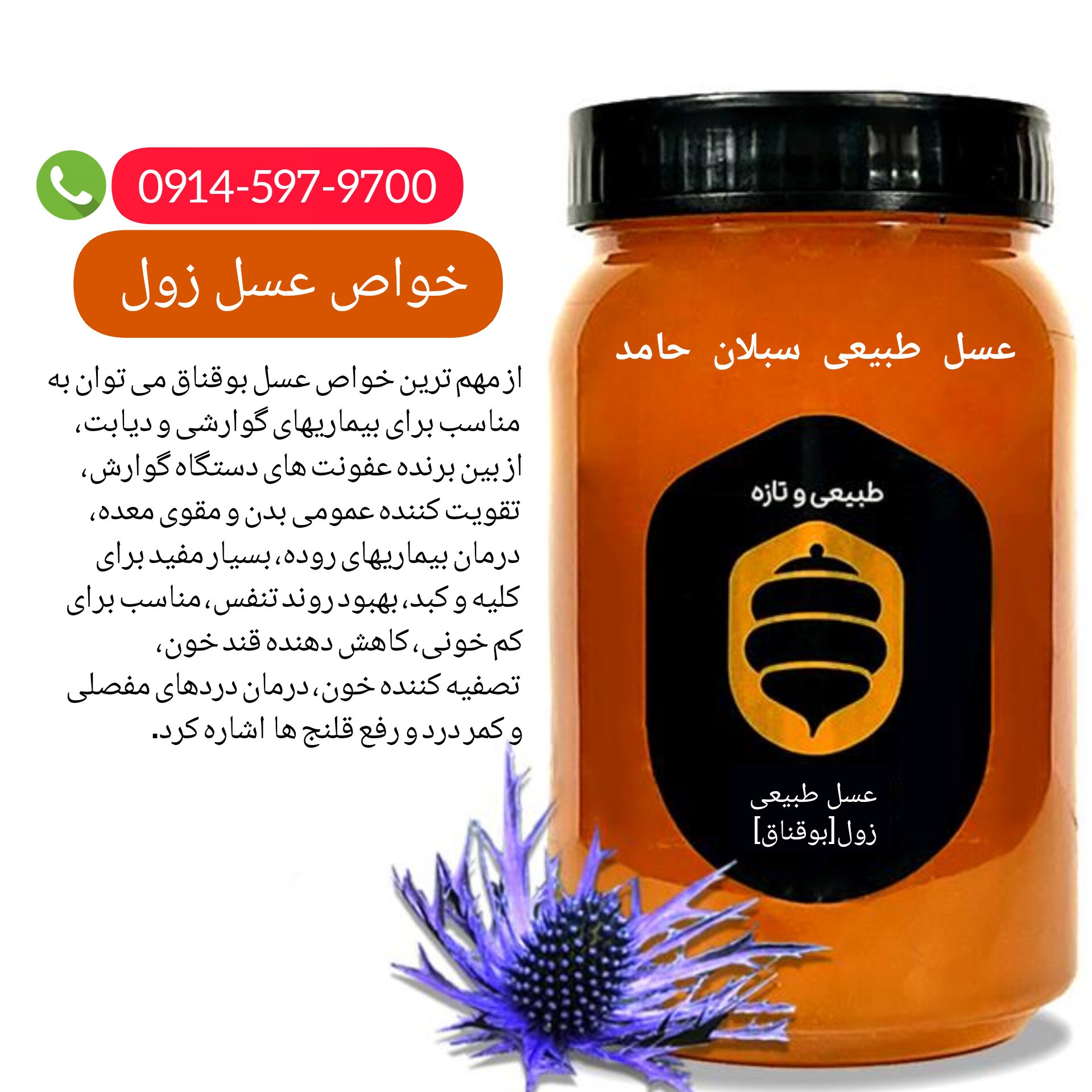 عسل زول چوچاق بوقناق طبیعی 1 کیلویی سبلان (مستقیم از زنبور دار )