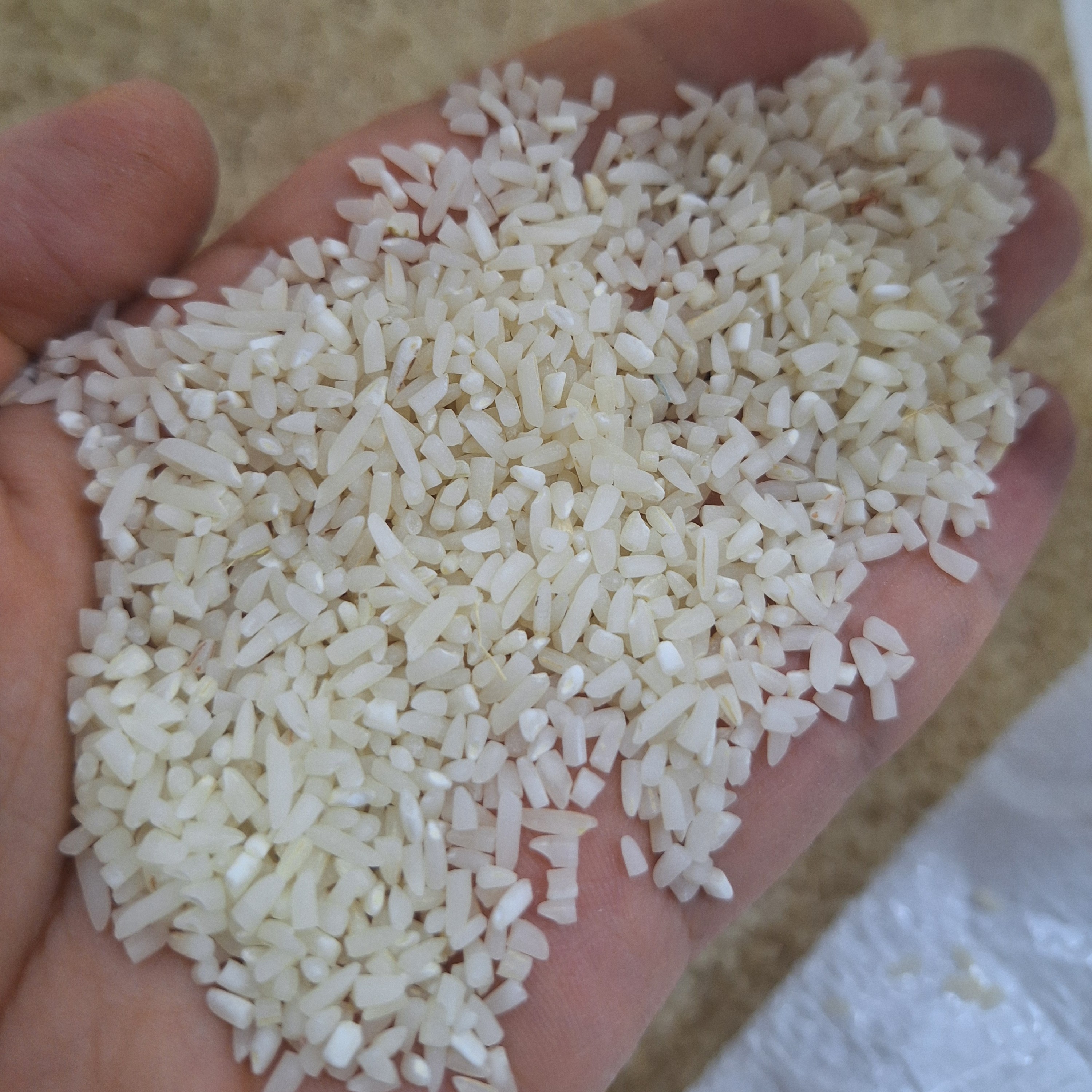 نیم دانه درشت معطرهاشمی بسته 10کیلویی....ارسال رایگان
