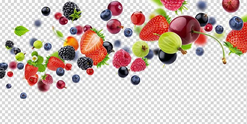 عکس PNG انواع میوه های تازه | گرافیک با طعم تربچه