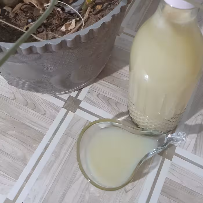 آب لیموی طبیعی و خالص خانگی