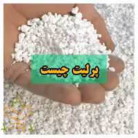 پرلیت جهت قلمه زنی مطمئن و سبک تر کردن خاک