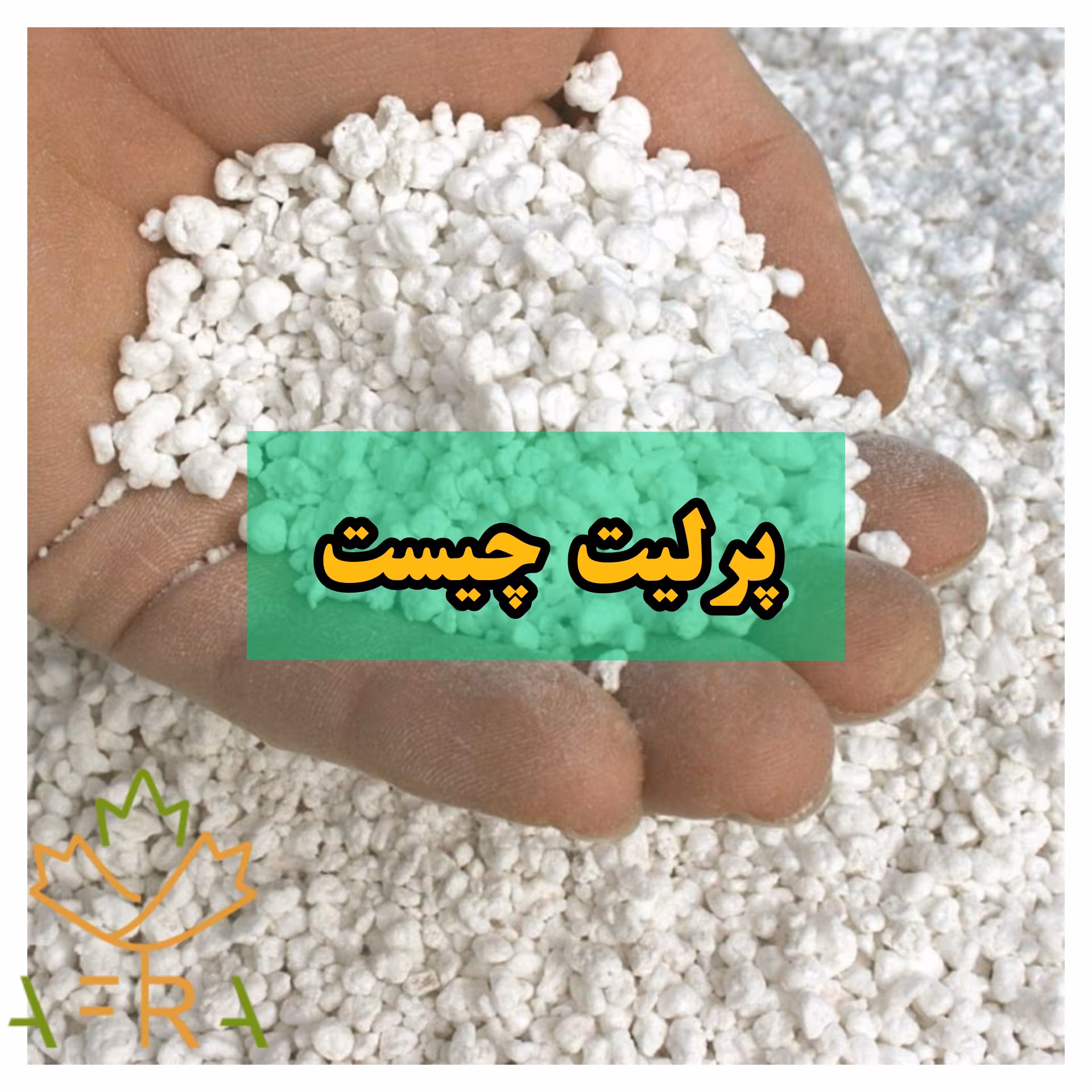 پرلیت جهت قلمه زنی مطمئن و سبک تر کردن خاک