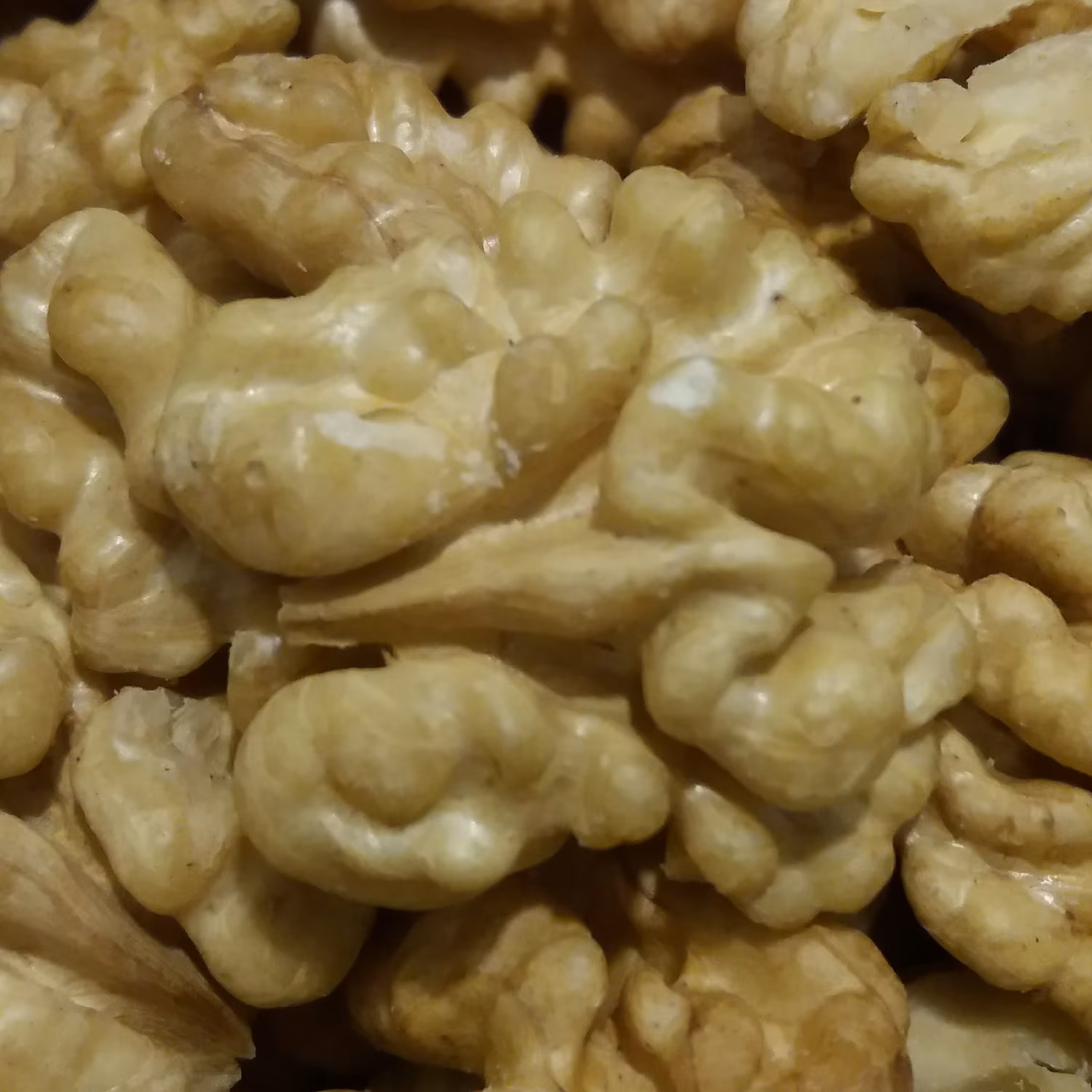 مغز گردوی سوپر  پر چرب و سفید ایرانی(مراغه)