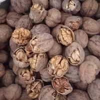 گردوی ایرانی درجه 1