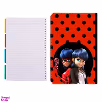 کلاسور طرح دختر کفشدوزکی کد 378 به همراه کاغذ کلاسور