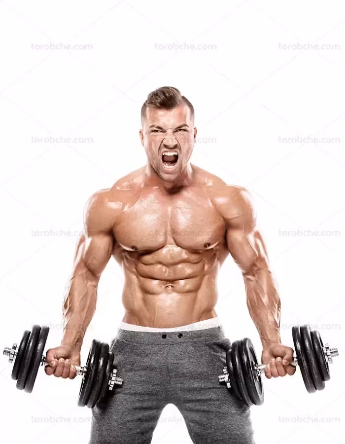 عکس با کیفیت بدنسازی حرکت جلو بازو با دمبل - گرافیک با طعم تربچه