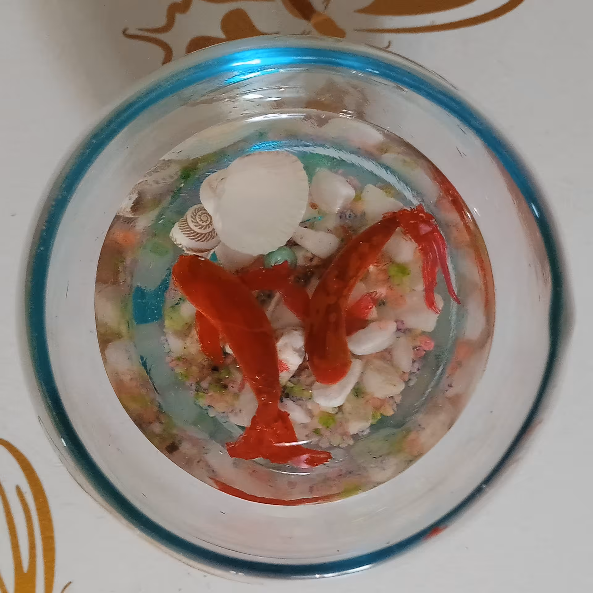 ماهی سه بعدی 