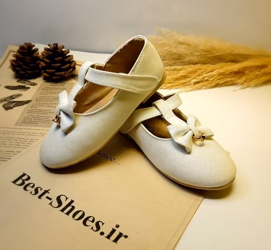 کفش مجلسی دخترونه کد FL-169