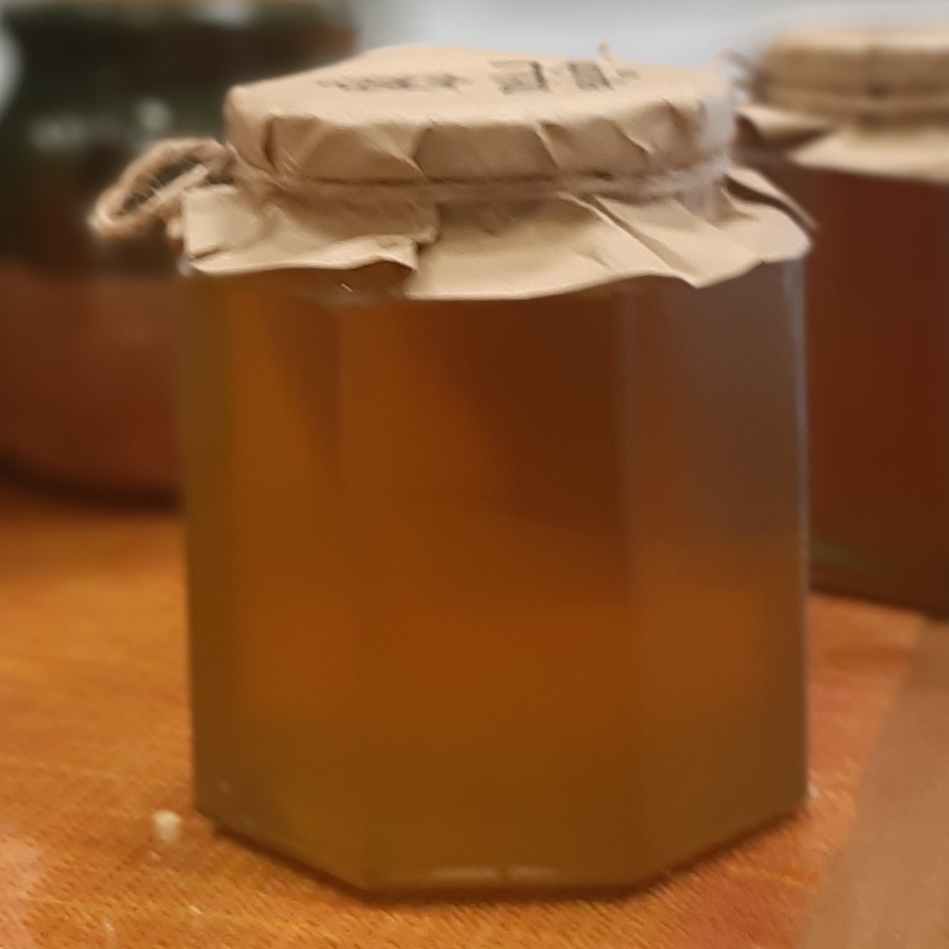 عسل گون و گلهای وحشی مشهد( تغذیه نشده) نیم کیلویی( رُس بسته)
