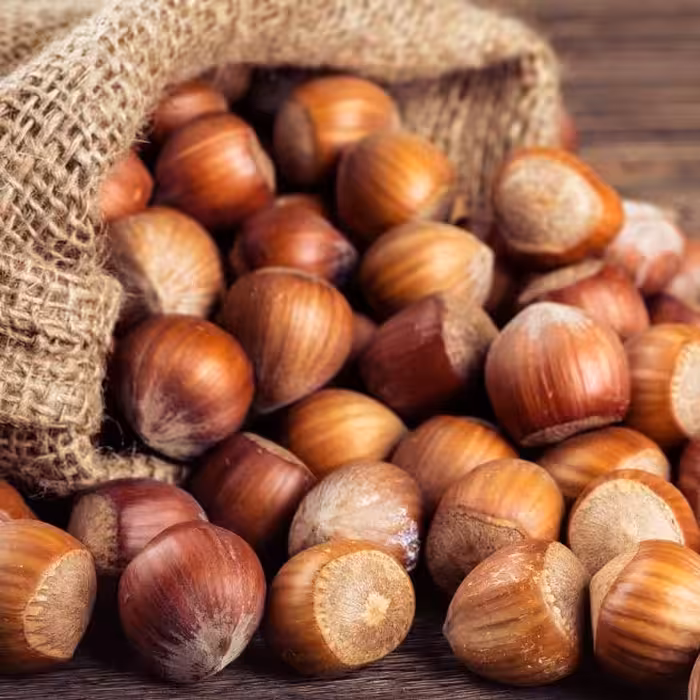 فندق شور ممتاز ترکیه بسته بندی 300 گرمی شالیزارصادق 