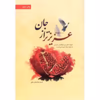 عزیزتر از جان - (شهید مدافع حرم ابوالفضل راه چمنی به روایت مهناز ابویسانی (همسر))