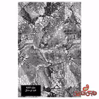 فرش ماشینی ساوین ویژن کد 4207 نقره ای مشکی