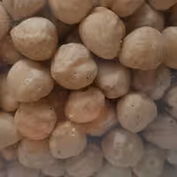 مغز فندق خام پوست کنده تازه کیفیت تضمینی آجیل و خشکبار بادامک 