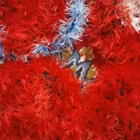 اسکاج ودستگیره 