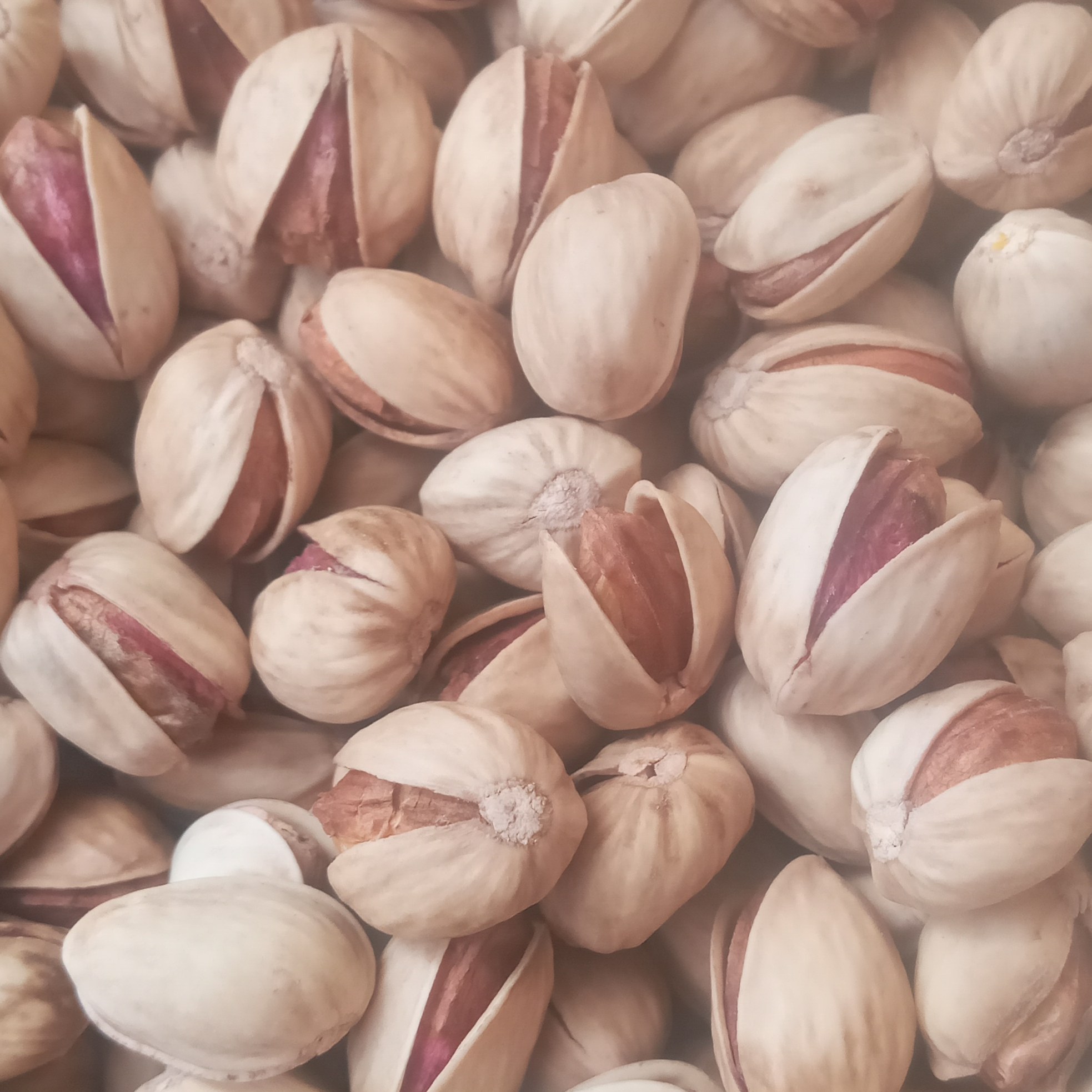 پسته فندقی کرمان