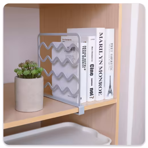 نظم دهنده و جدا کننده