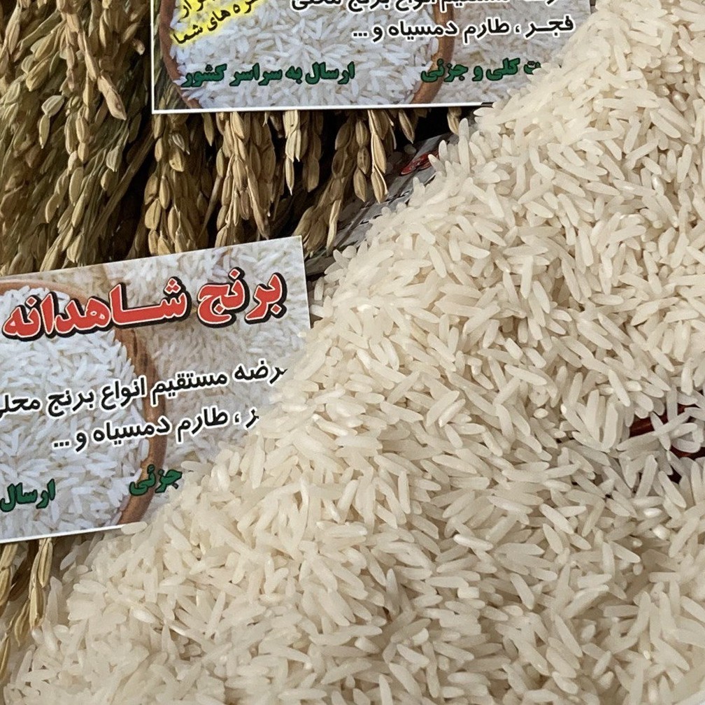 نمونه پخت برنج فجر سوزنی درجه یک رایگان براتون ارسال میکنیم خوشتون اومد سفارش بدید