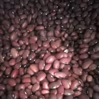 لوبیا قرمز  ممتاز و خوشپخت یک کیلوگرم