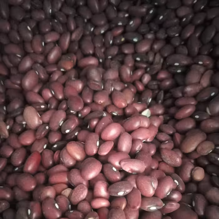 لوبیا قرمز  ممتاز و خوشپخت یک کیلوگرم