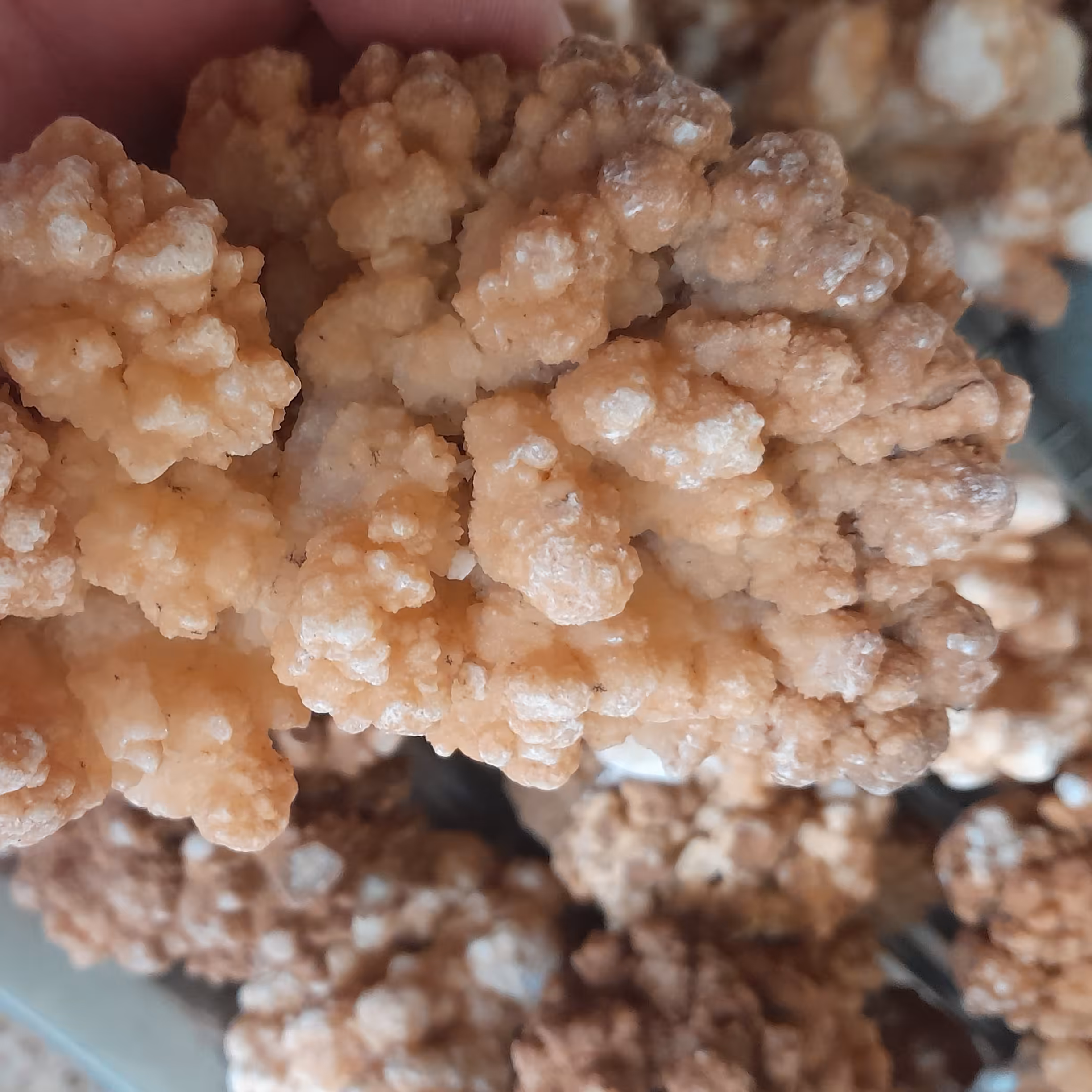 سنگ دکوری آروگونیت