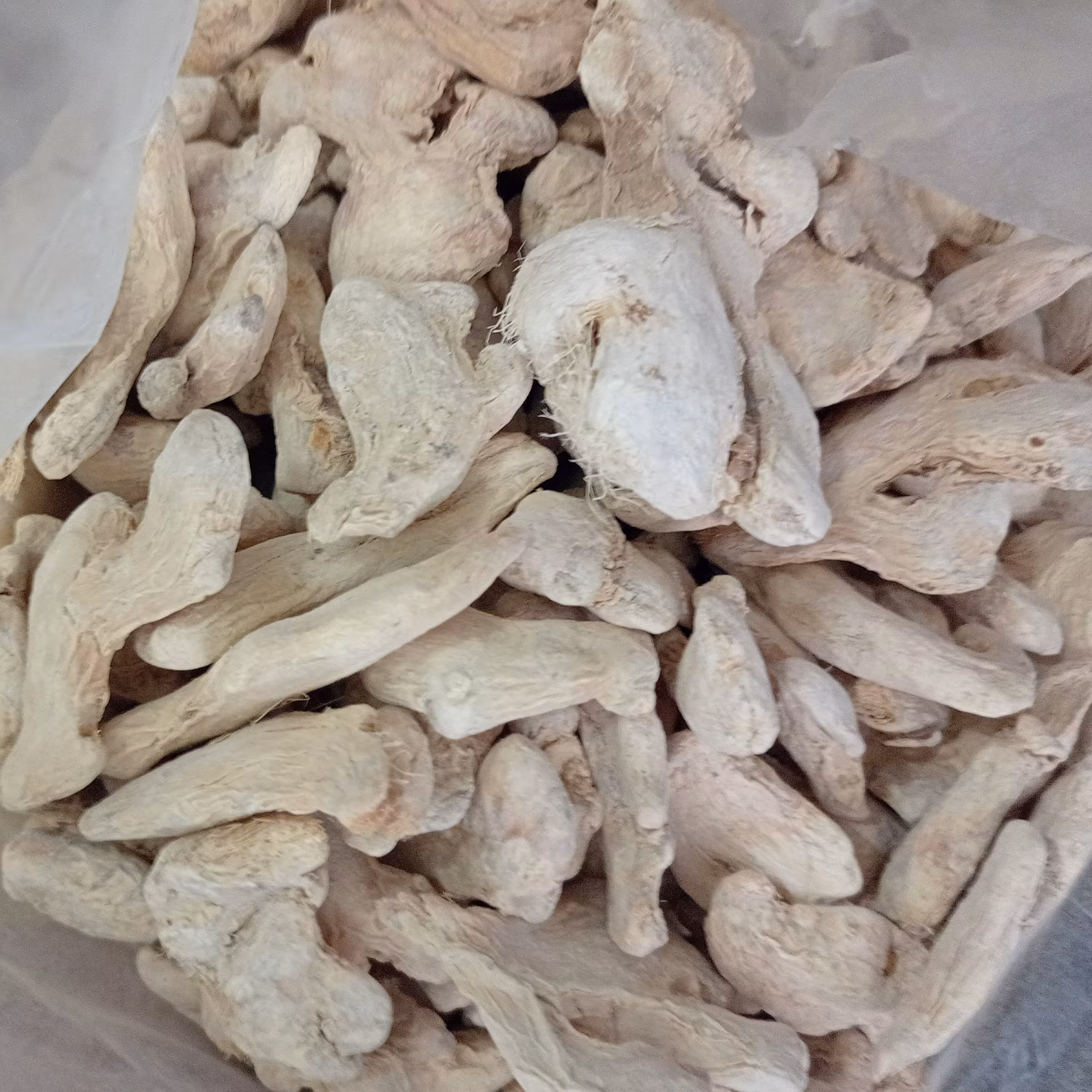 زنجبیل درشت