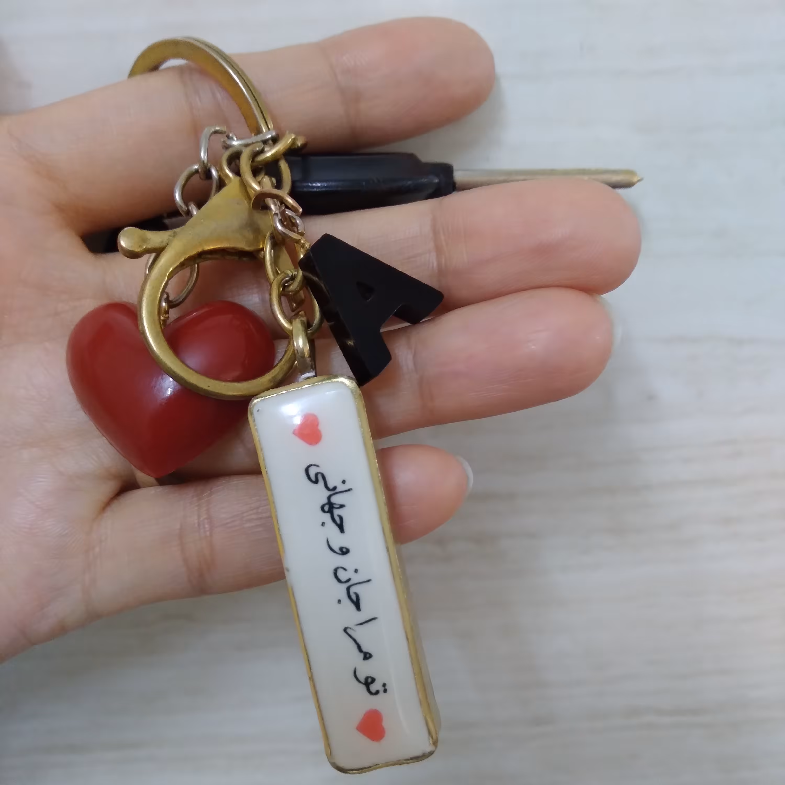 جاسوئیچی رزینی پلاک ماشین