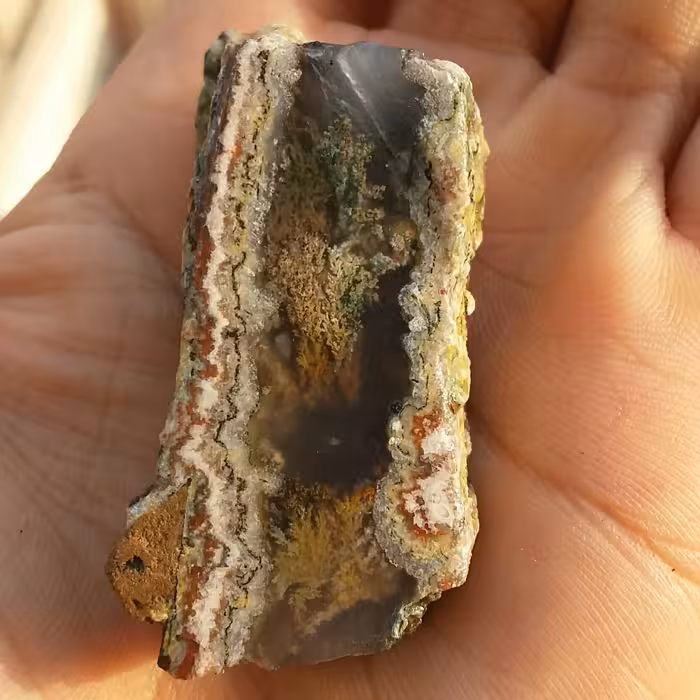 اسلایس سنگ راف شجر دریایی منظره 7رنگ صد در 100 طبیعی شااااهکار خلقت 
تابلو نقاشی طبیعی
بی نظیر
خارق العاده دو طرفه