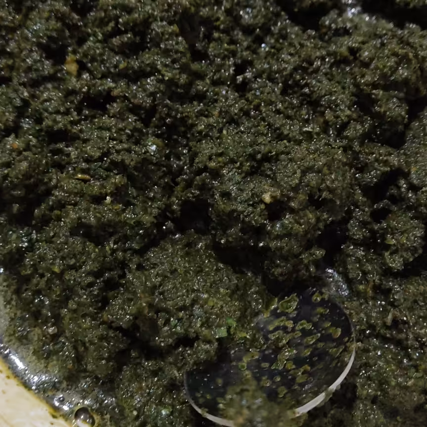 درار  گیلانی یا همون نمک سبز(ارسال بصورت پس کرایه)