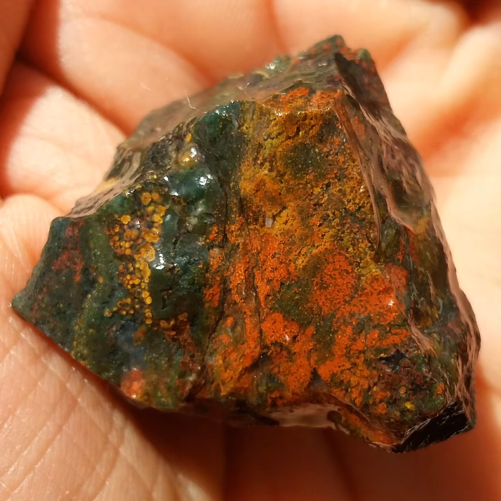  سنگ راف شجر منظره 7رنگ محشررر کاملا طبیعی
تابلو نقاشی طبیعی خارق العاده
