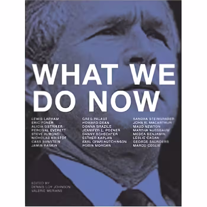 کتاب زبان اصلی What We Do Now اثر Dennis Loy Johnson and Valerie Merians