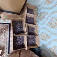 ریزه  خاصویی