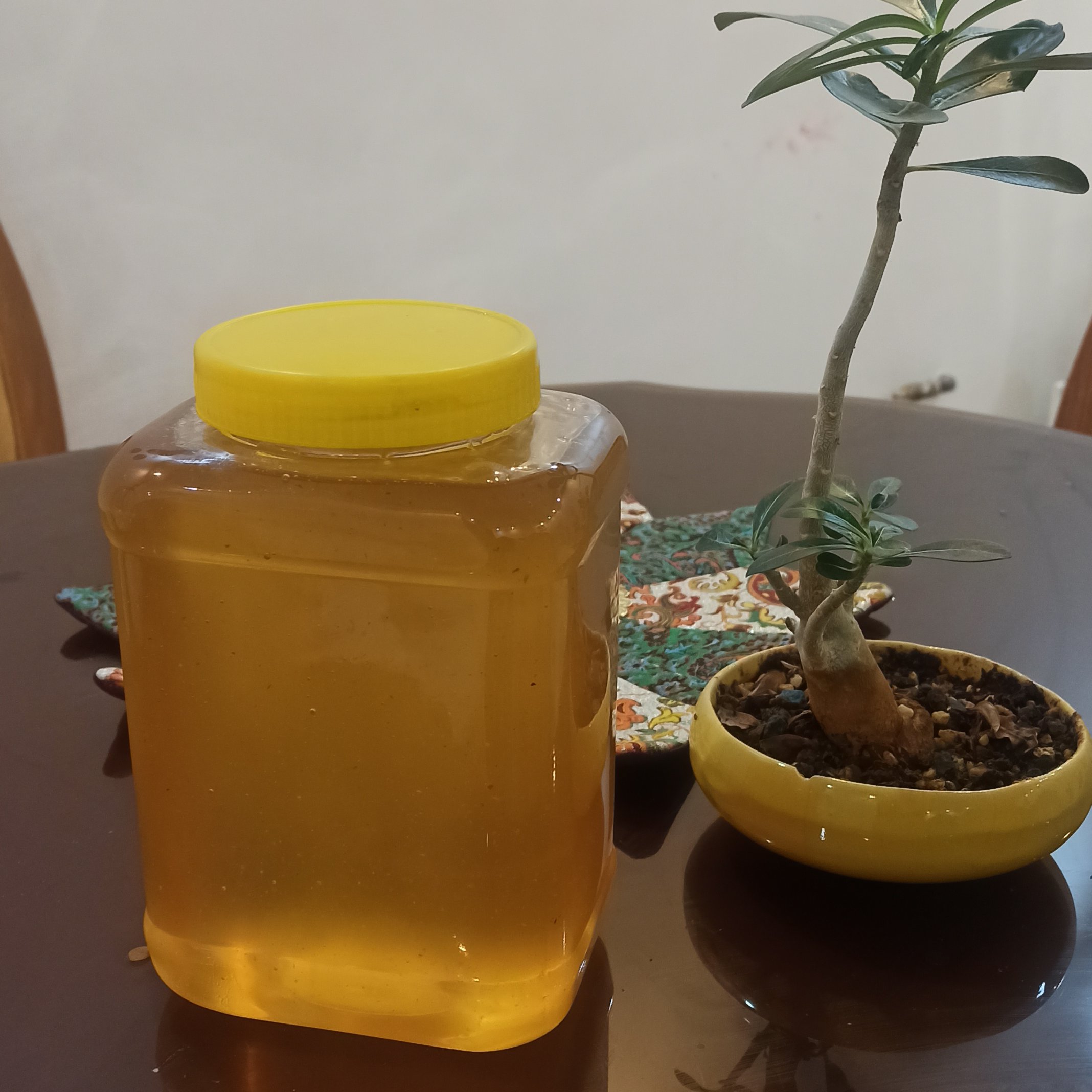 عسل وحشی جنگل