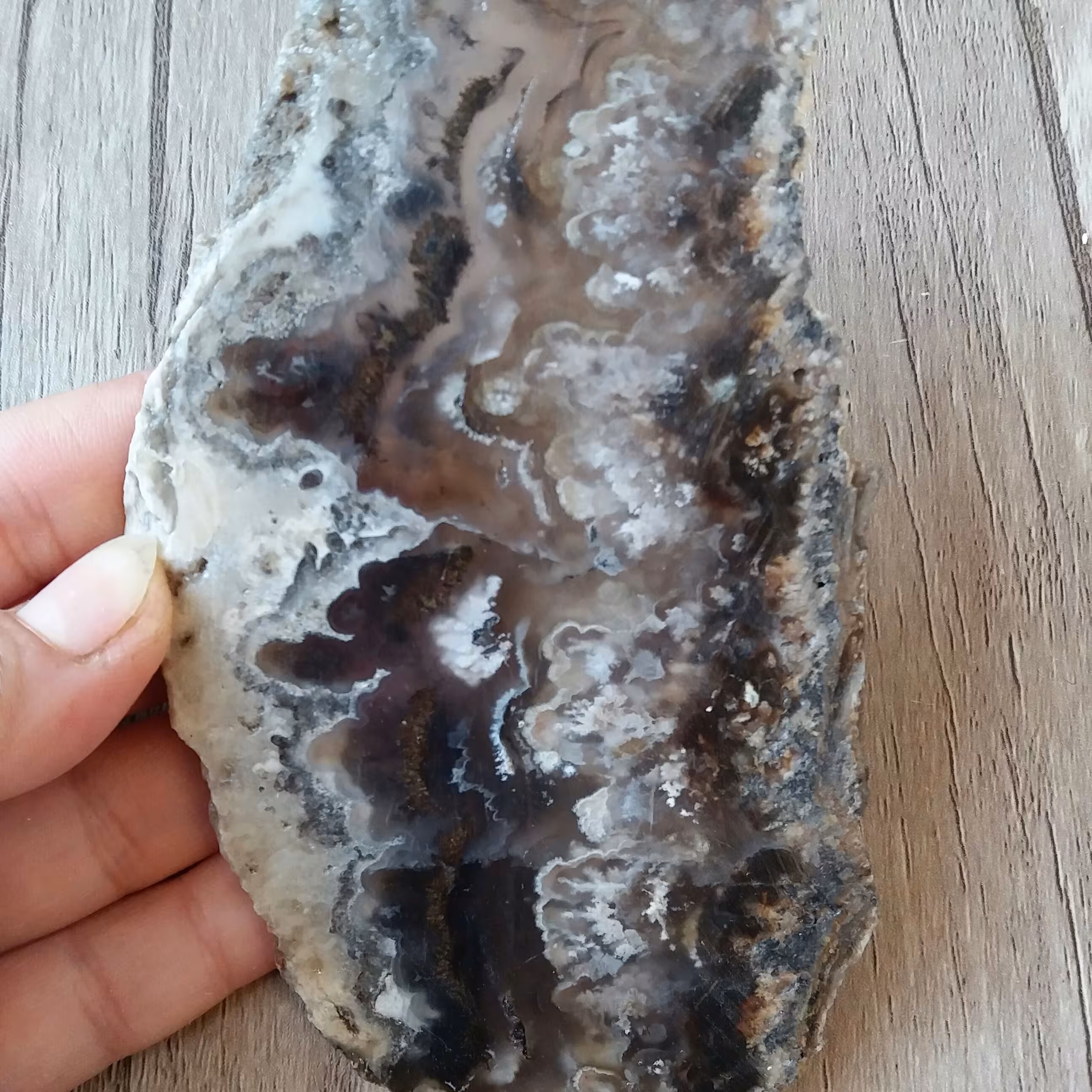 سنگ عقیق شجر اصل با درختان واضح معدنی و اصل با خواص بسیار سنگ عقیق