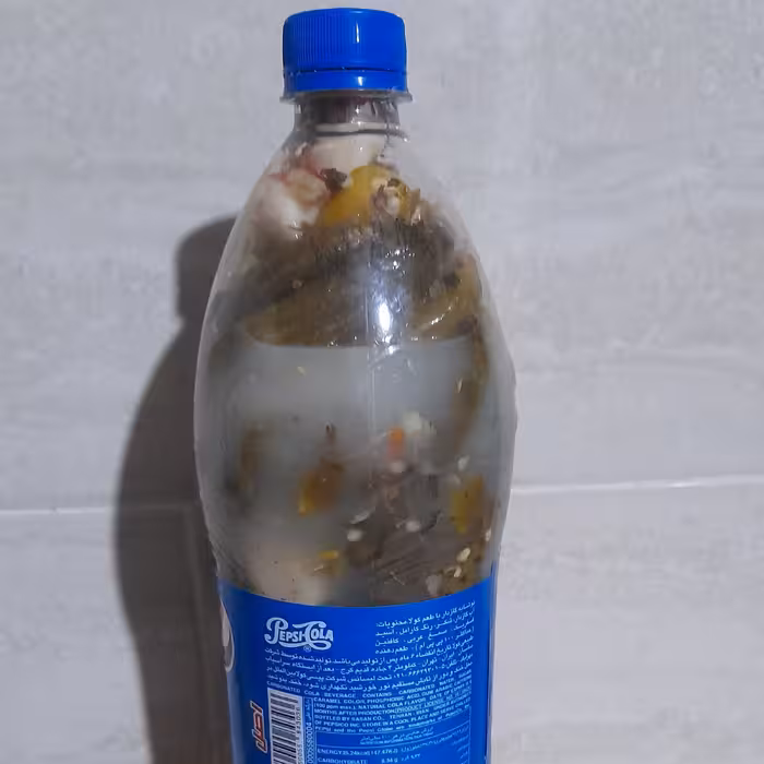 خیار شور خانگی خوش طعم و تازه 