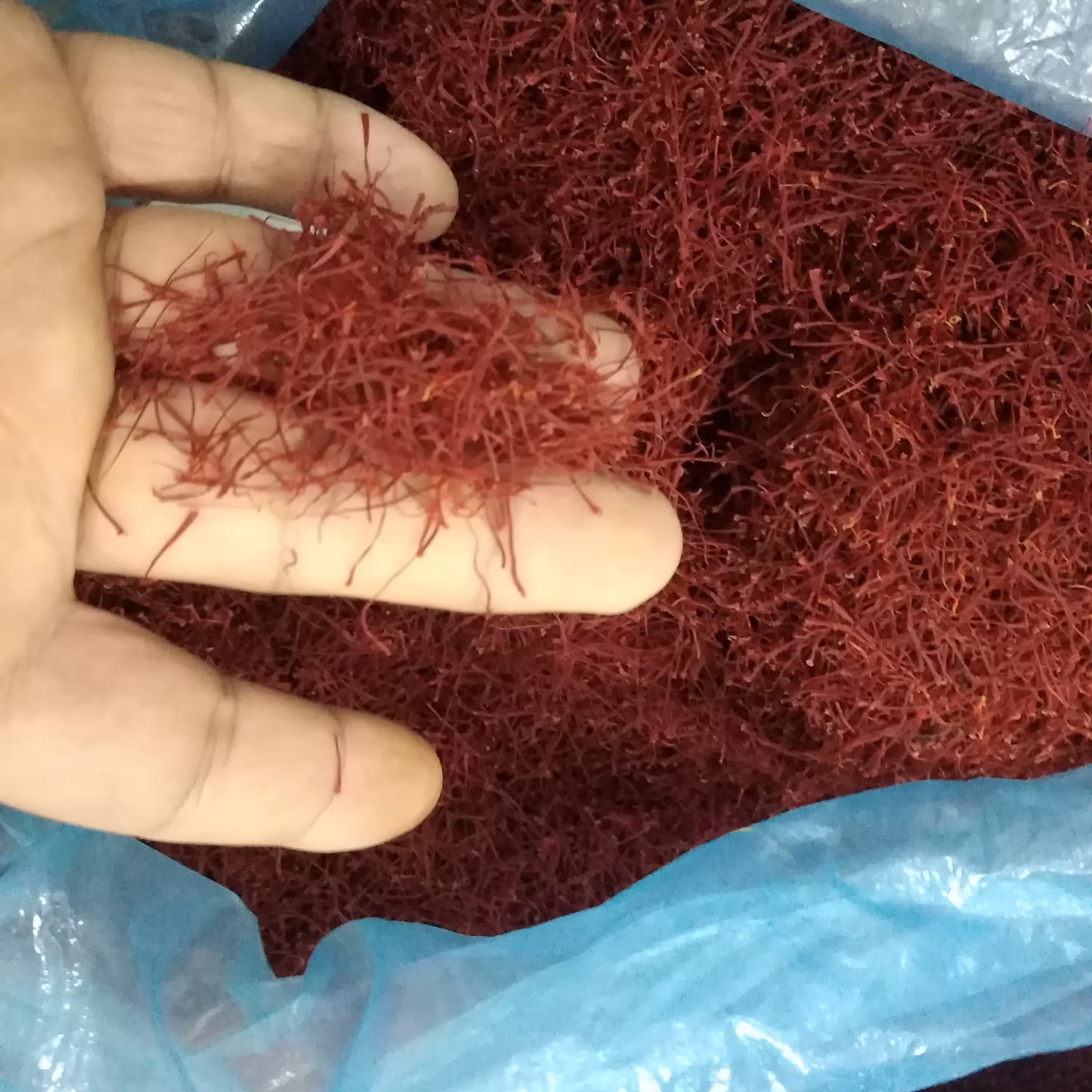 سرگل فله نیم کیلوی