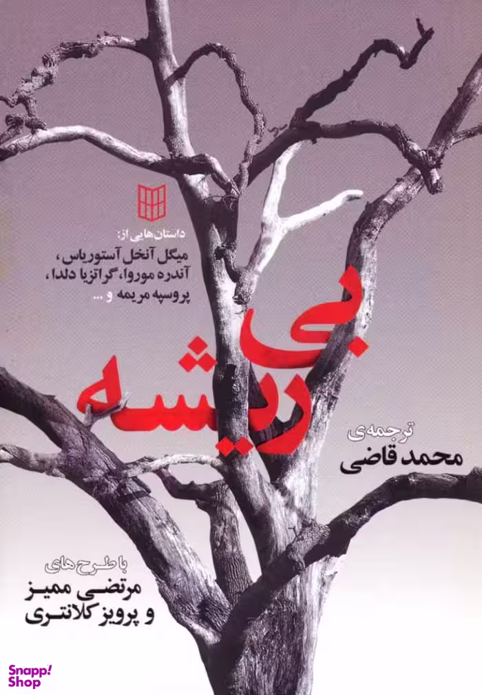 کتاب بی ریشه اثر جمعی از نویسندگان انتشارات کتاب پنجره