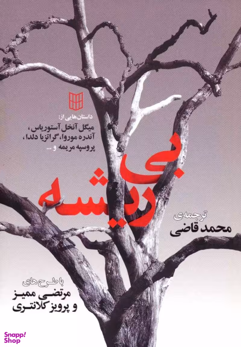کتاب بی ریشه اثر جمعی از نویسندگان انتشارات کتاب پنجره