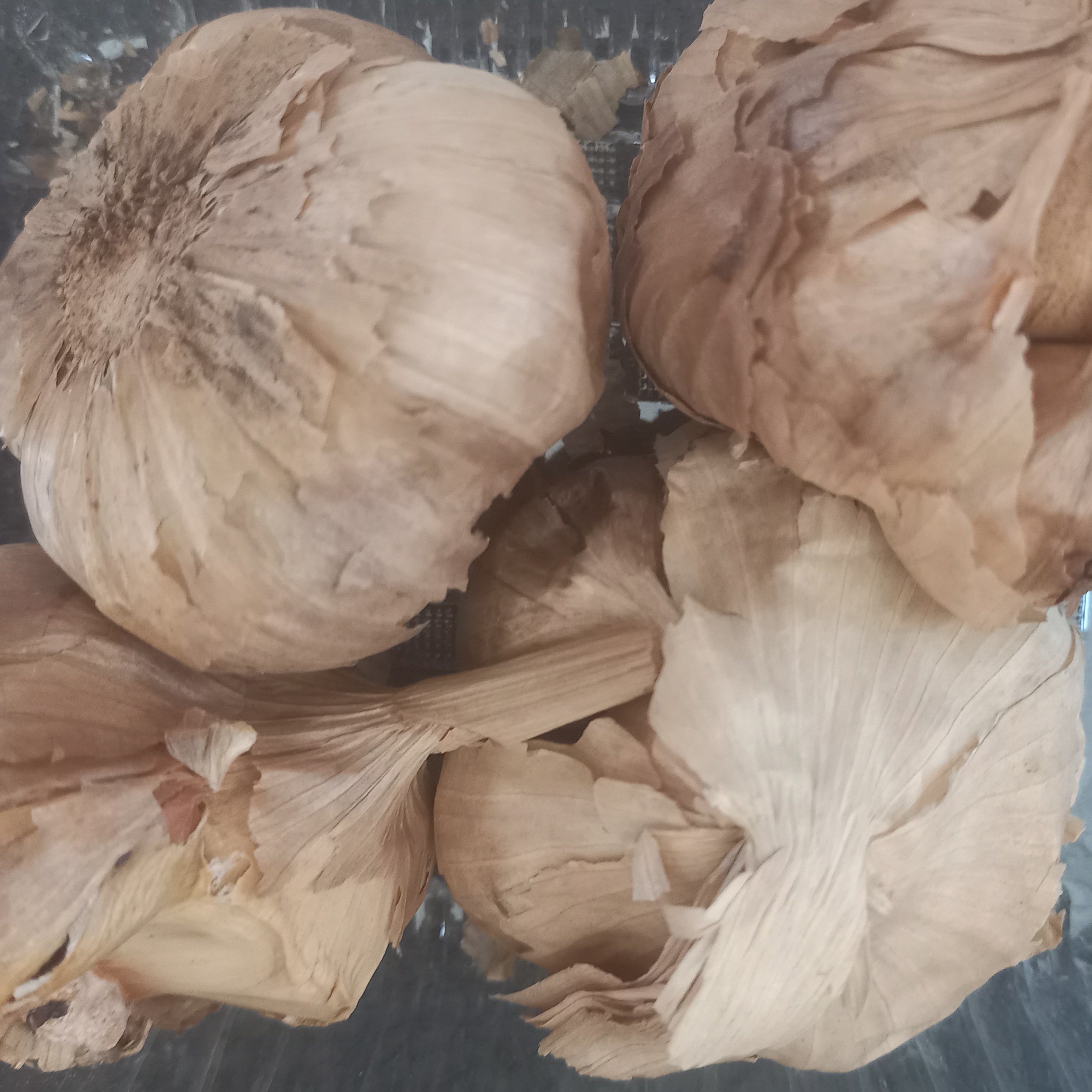 فروش سیرسیاه درجه یک 