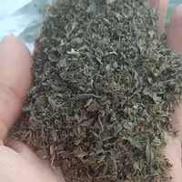 نعناع خشک ممتاز نیم کیلویی 135