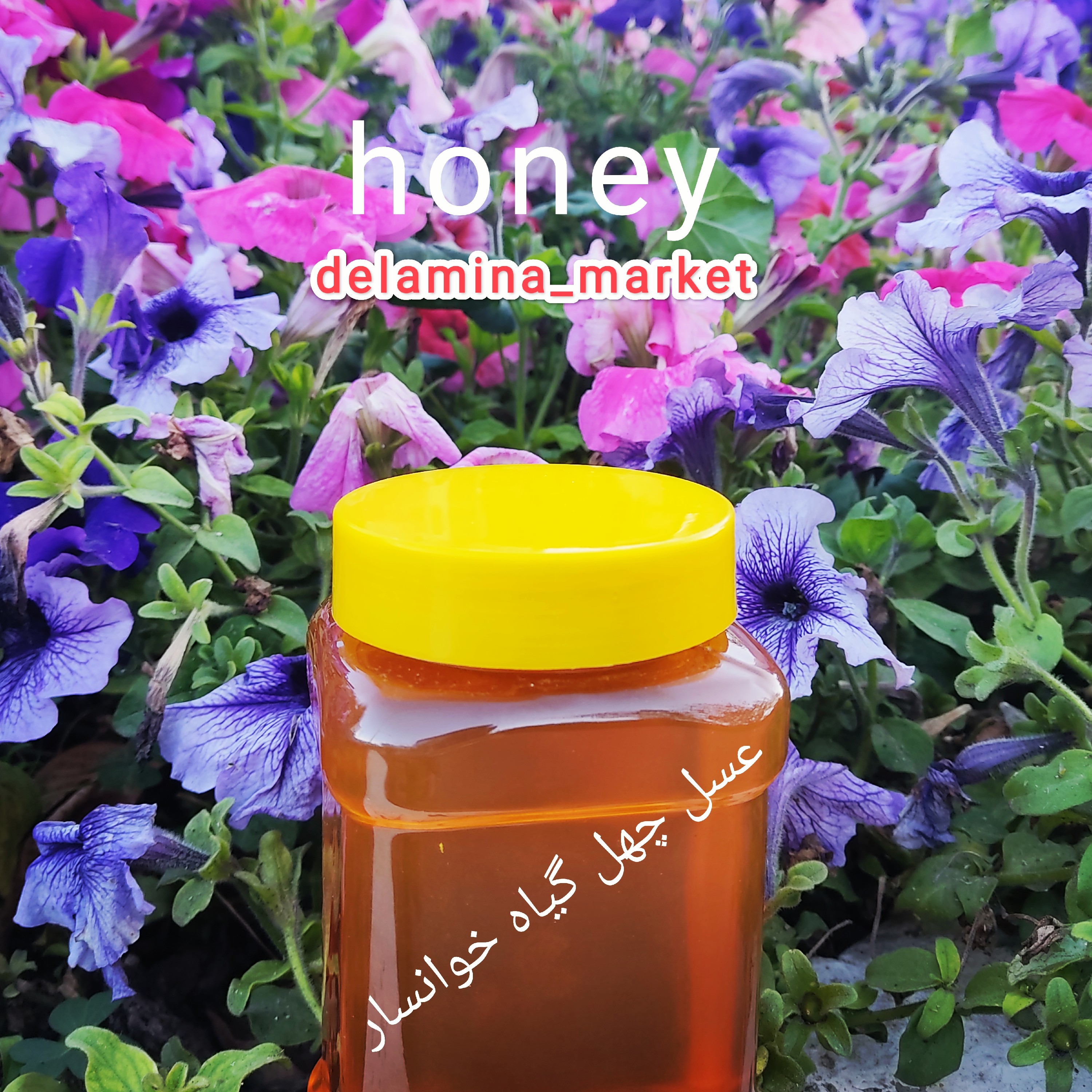 عسل چهل گیاه خوانسار پک 2 عددی