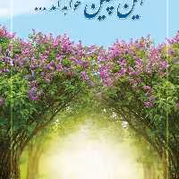 کتاب او این چنین خواهد آمد  اثر سید محمد کاظم قزوینی نشر آفاق