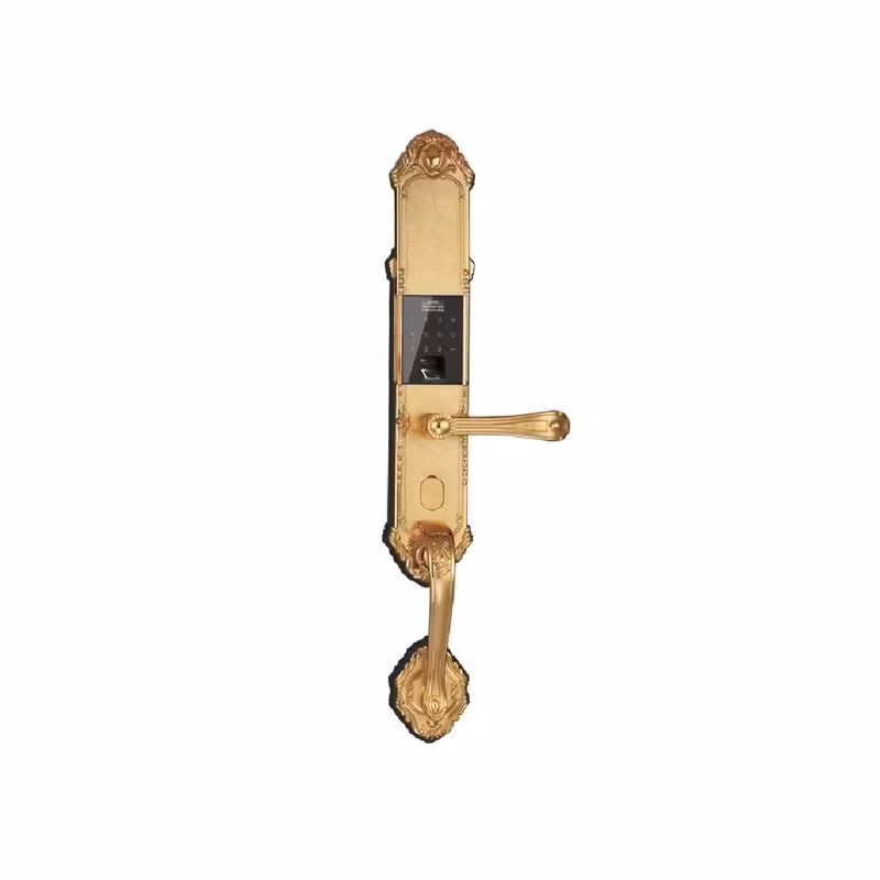 دستگیره دیجیتال کلاسیک