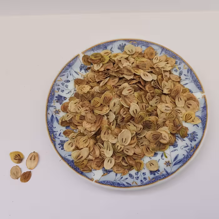 گلپر  کوهی درجه یک خوش عطر و تمیز (50گرم)