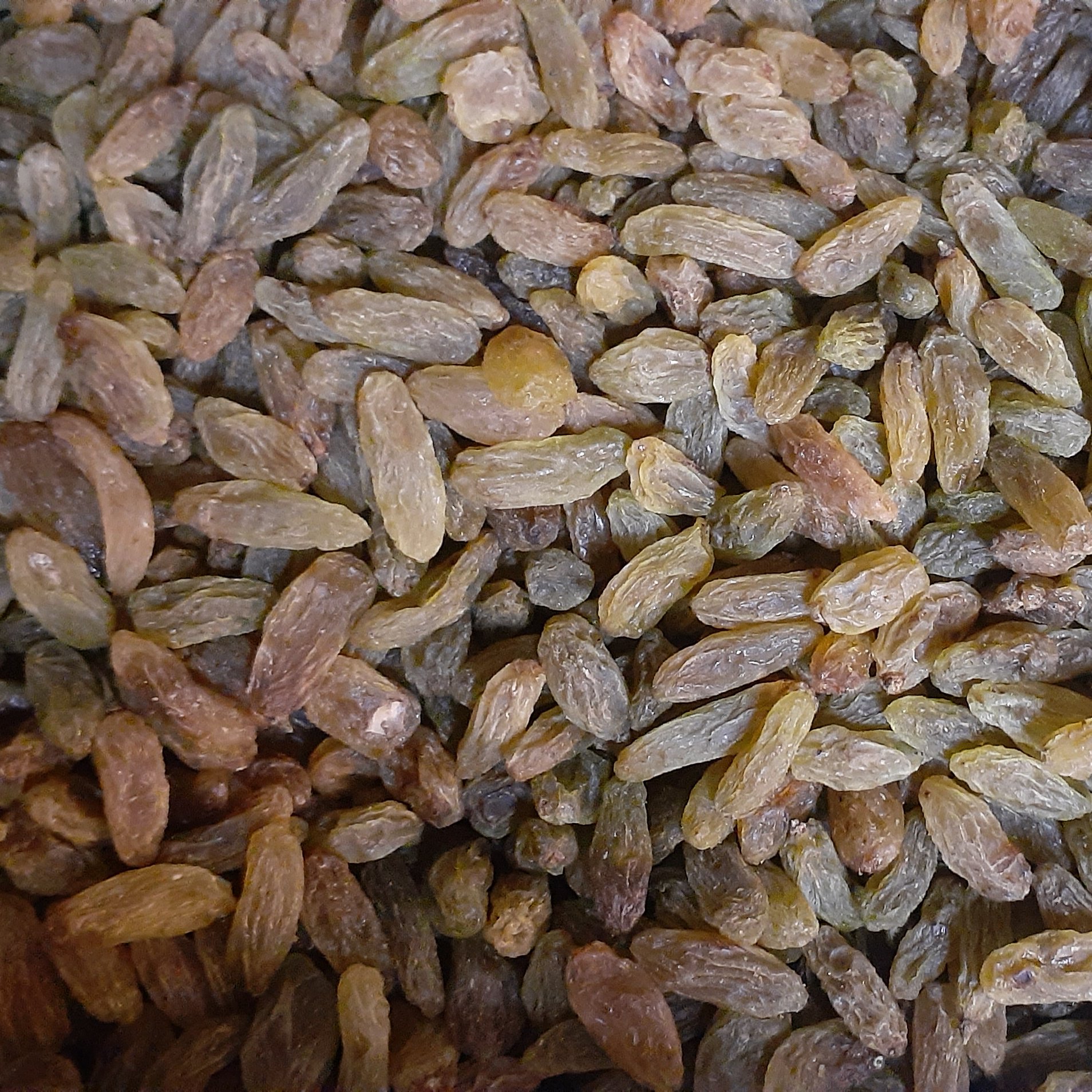 کشمش سبز قلمی عالی و ممتاز